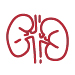 Kidney Care