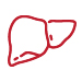 Liver Support