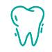 Oral Health Essentials