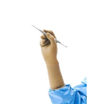 Ansell Encore Latex Micro Powder Free Surgical Gloves - Box of 50 Pairs