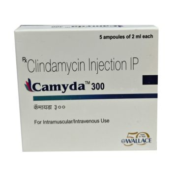 Camyda 300 Injection - 2 ml