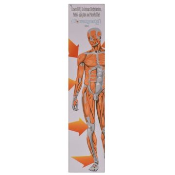 Powergesic Plus Gel - 30 g
