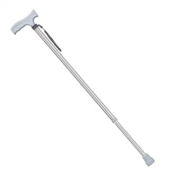 Karma Ryder (WS-121) AN Silver Aluminum Adjustable Walking Stick